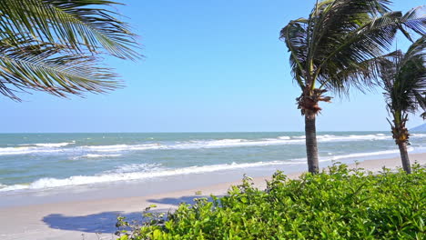 Palm-trees-swaying-in-the-wind-of-ocean-tropical-exotic-beach