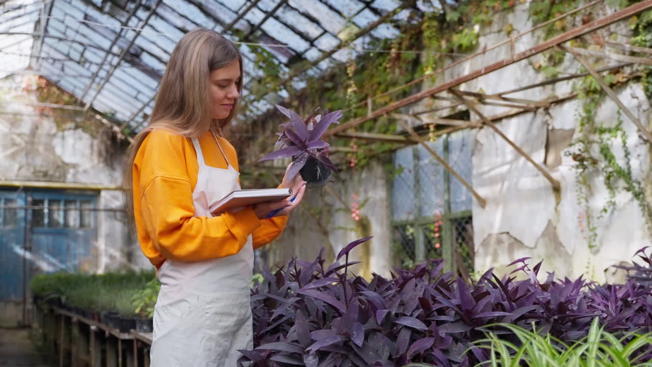 mujer comprobando plantas en un invernadero