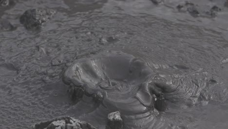 Boiling-hot-geothermal-volcanic-mud-pool,-closeup-shot-steamy-lake-bubbling-mud-and-steam