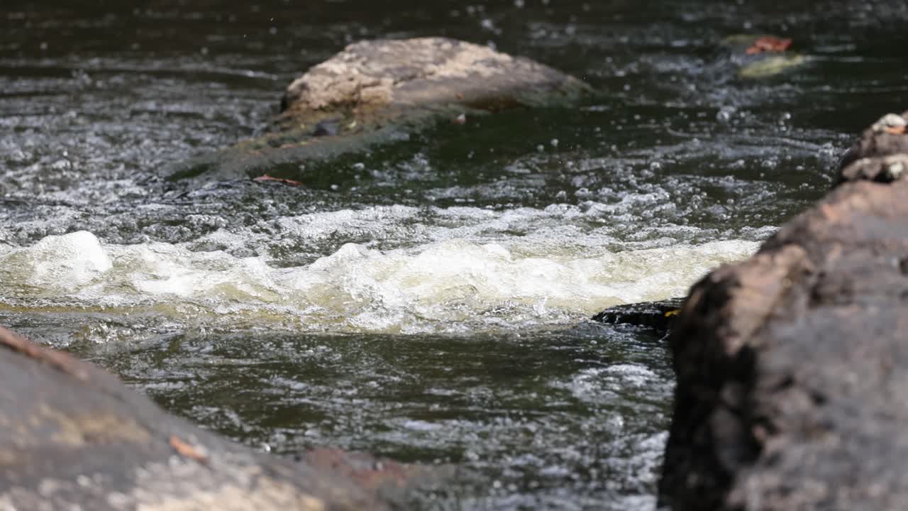 강의 돌 위에서 빠르게 흐르는 물