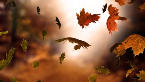 Animation-of-autumn-leaves-falling-over-autumn-park-background