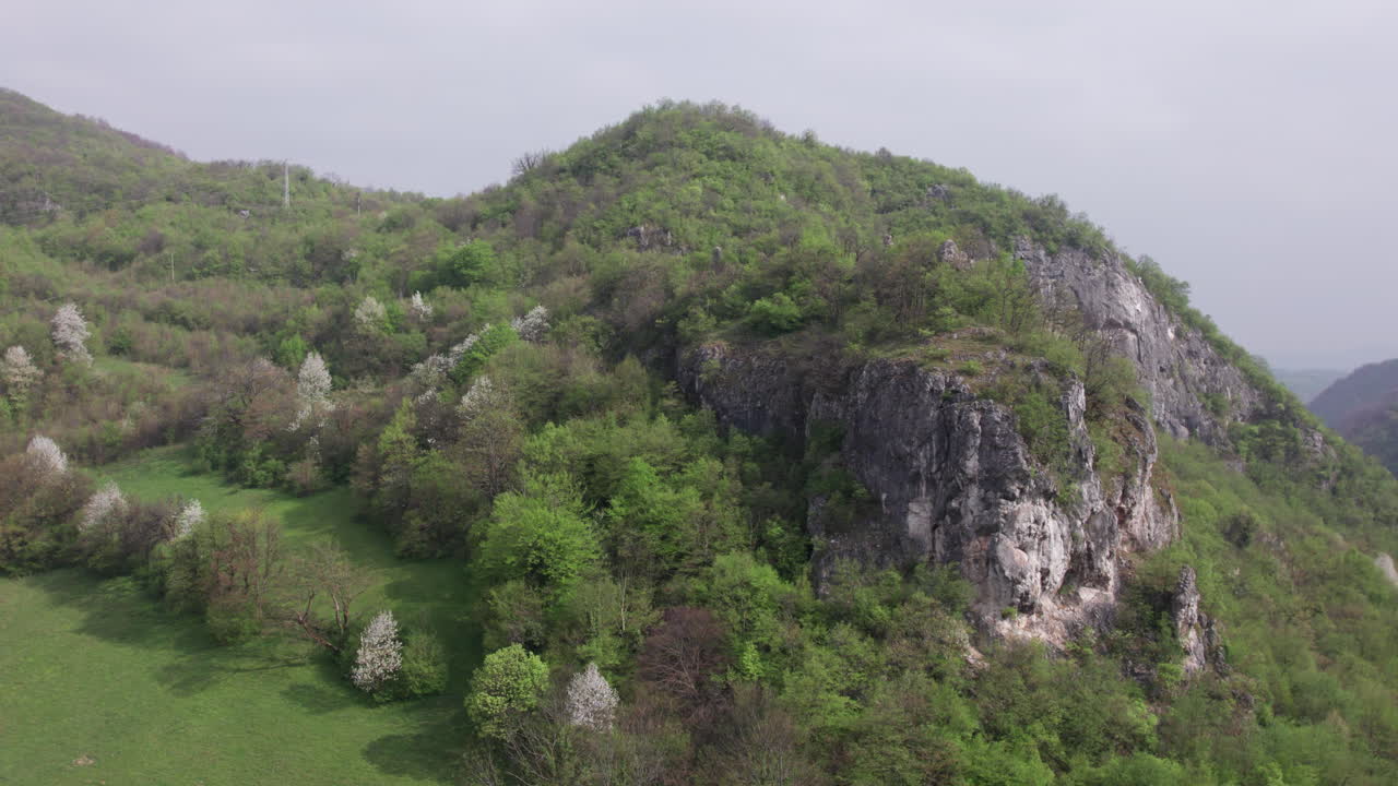 vista aérea de una montaña cubierta de hermoso bosque