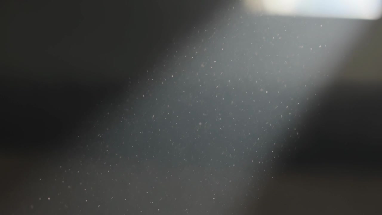 Skylight casting diagonal beam across dim loft, revealing slowly drifting dust motes in air