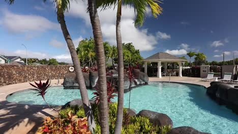 palm trees near a calm quiet swimming pool in hawaii