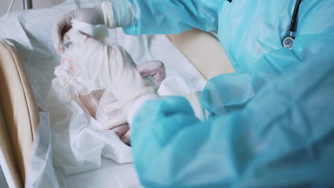 examen veterinario de un animal recién nacido