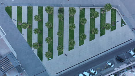 palmeras área urbana líneas de patrón gráfico hierba montpellier vista aérea de arriba