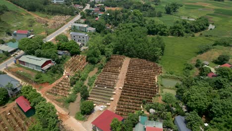 aerial view of a rural village and agricultural fields