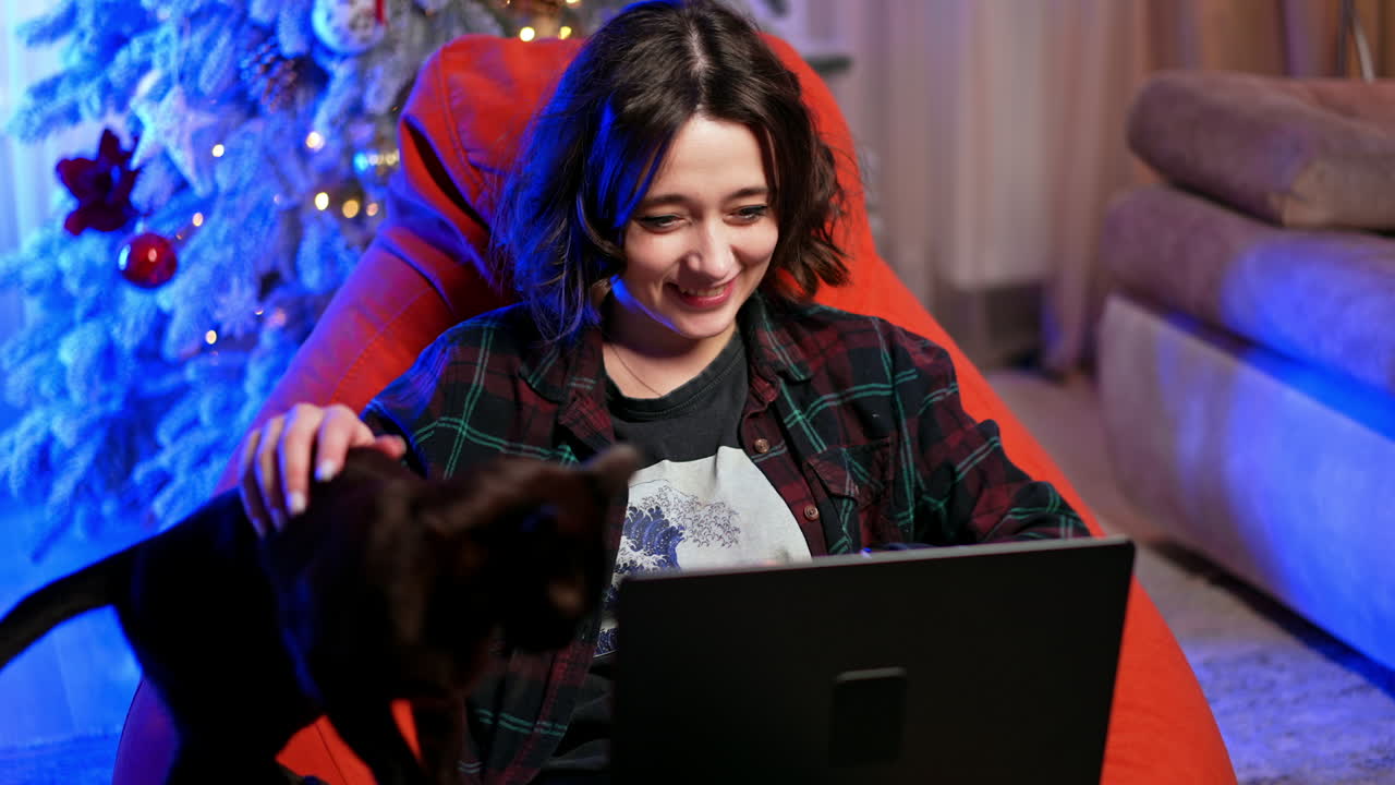 Positive smiling brunette girl sits in bean bag chair holding a cat and laptop. Shopping online for Christmas.