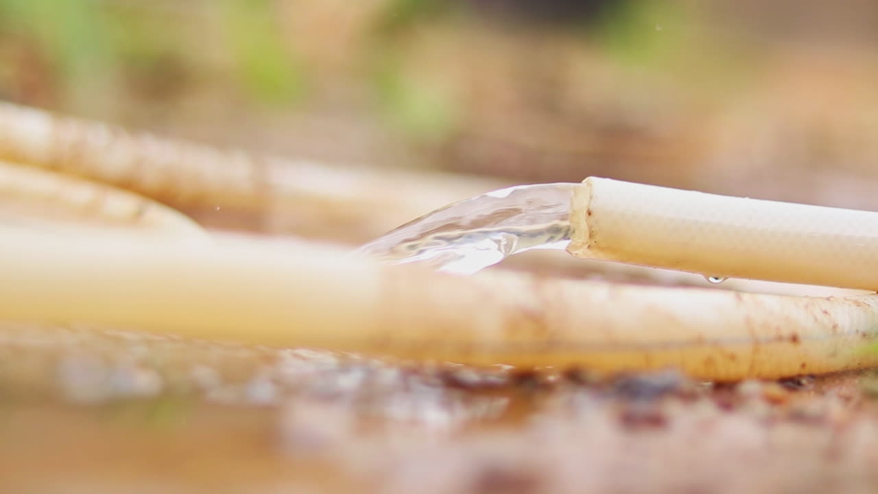 Water flows out of a simple garden hose and spills on the muddy ground