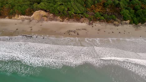 Moeraki-Felsbrocken-Aus-Der-Luft-Blicken-Nach-Unten