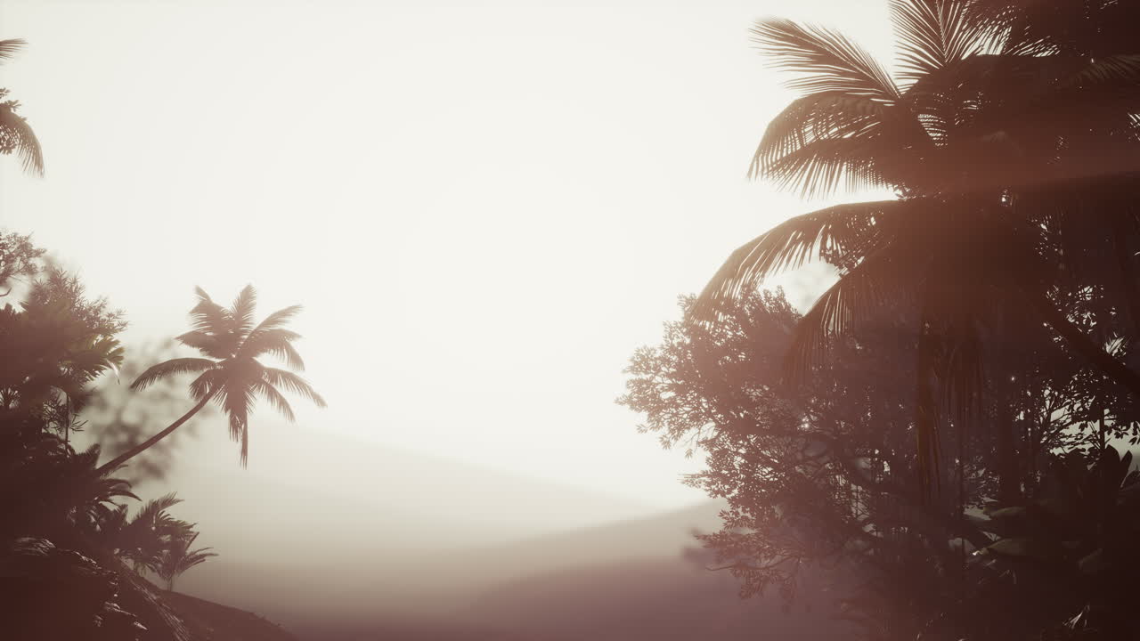 안개 속 에 있는 열대 palm 열대 열대 우림