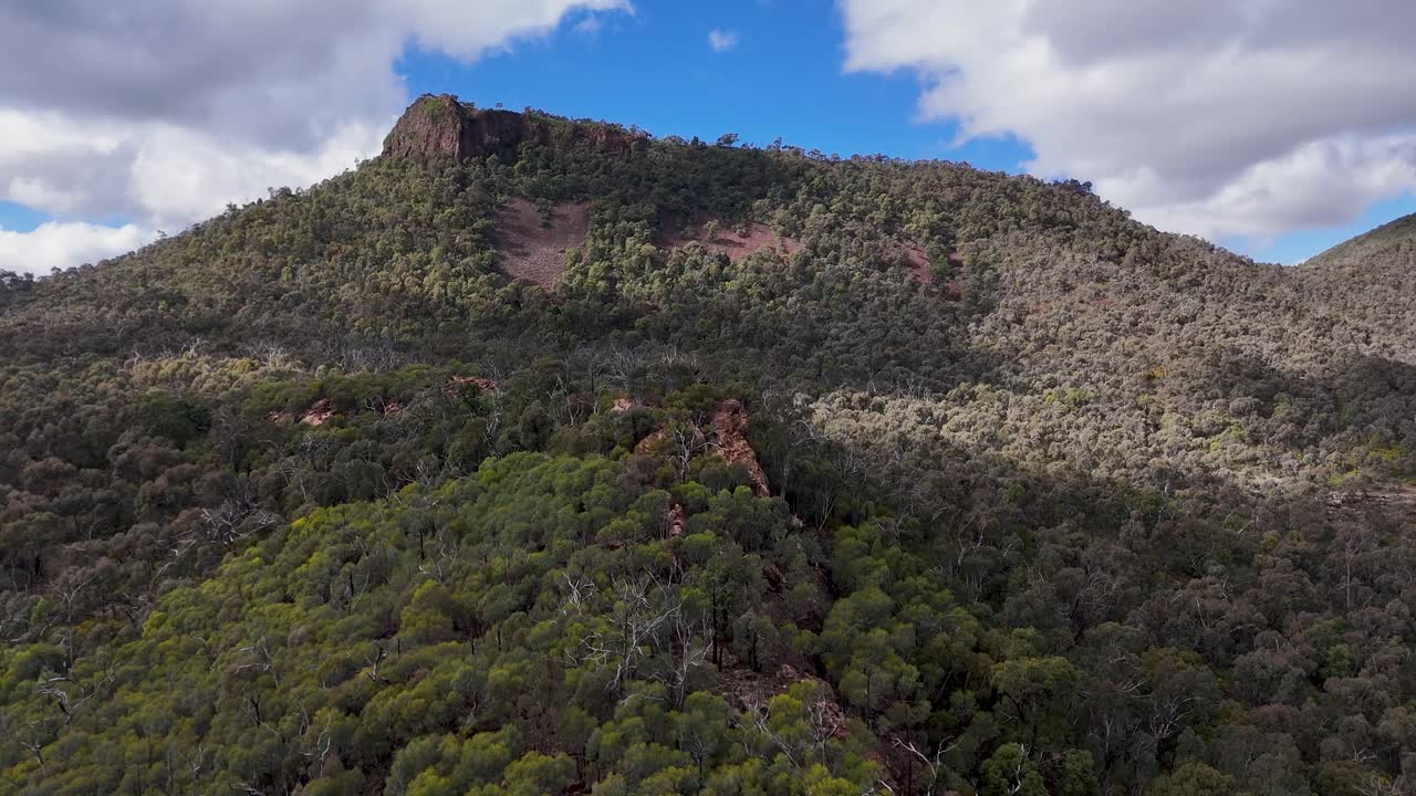 Drone glides forward over dense eucalyptus forest toward rugged mountain ridge under partly cloudy sky, revealing dramatic landscape in Warrumbungle National Park, Australia