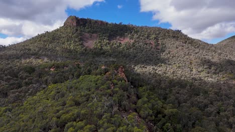 drone glides forward over dense eucalyptus forest toward rugged mountain ridge under partly cloudy sky, revealing dramatic landscape in warrumbungle national park, australia
