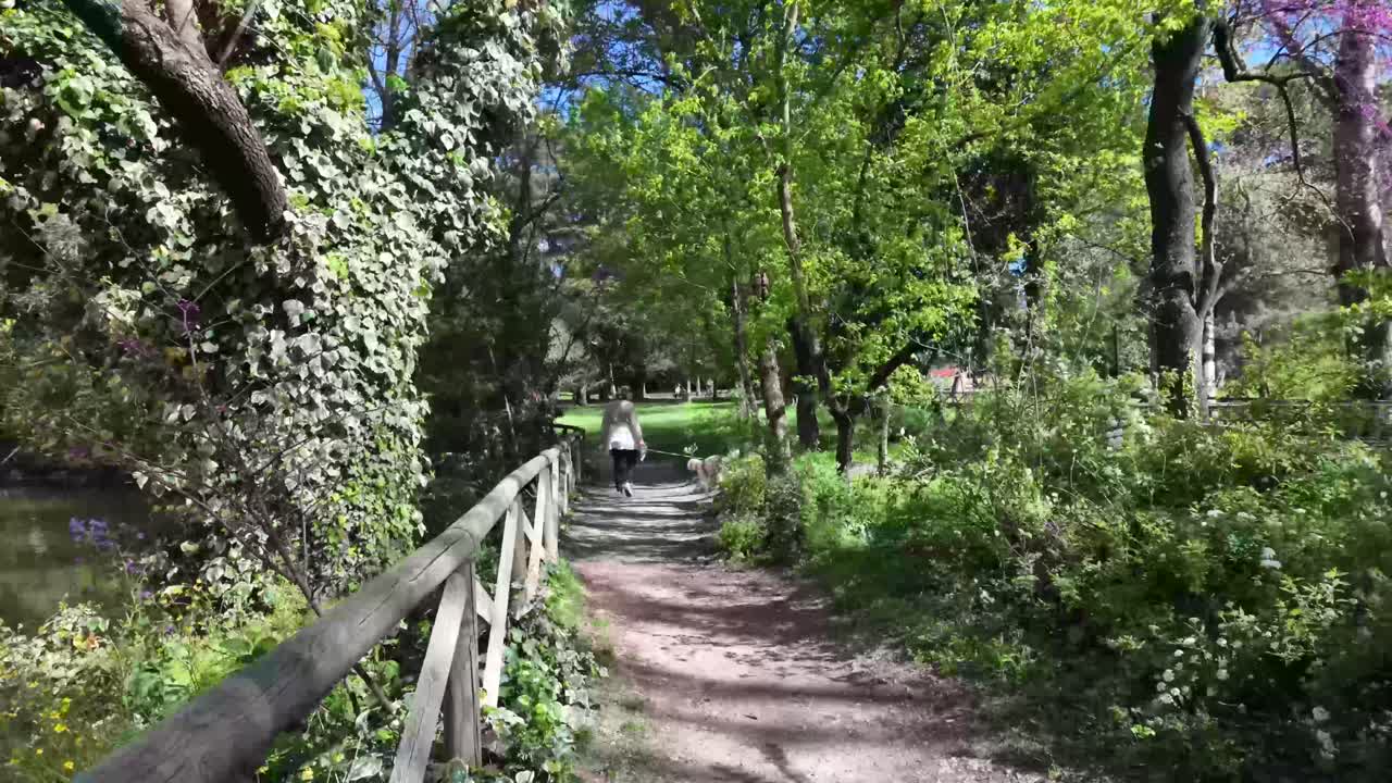 Woman walking her small sized dog inside park trail path, tree nature reserve