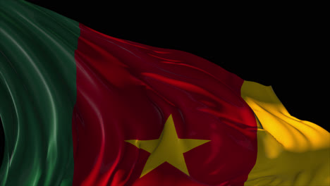 waving flag of cameroon