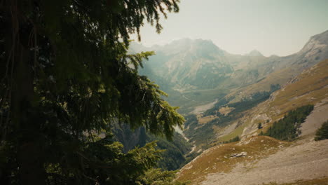 alpine valley view from a mountaintop