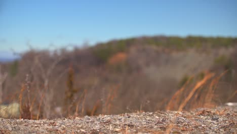 Drone-startup-and-takeoff-from-mountain-top