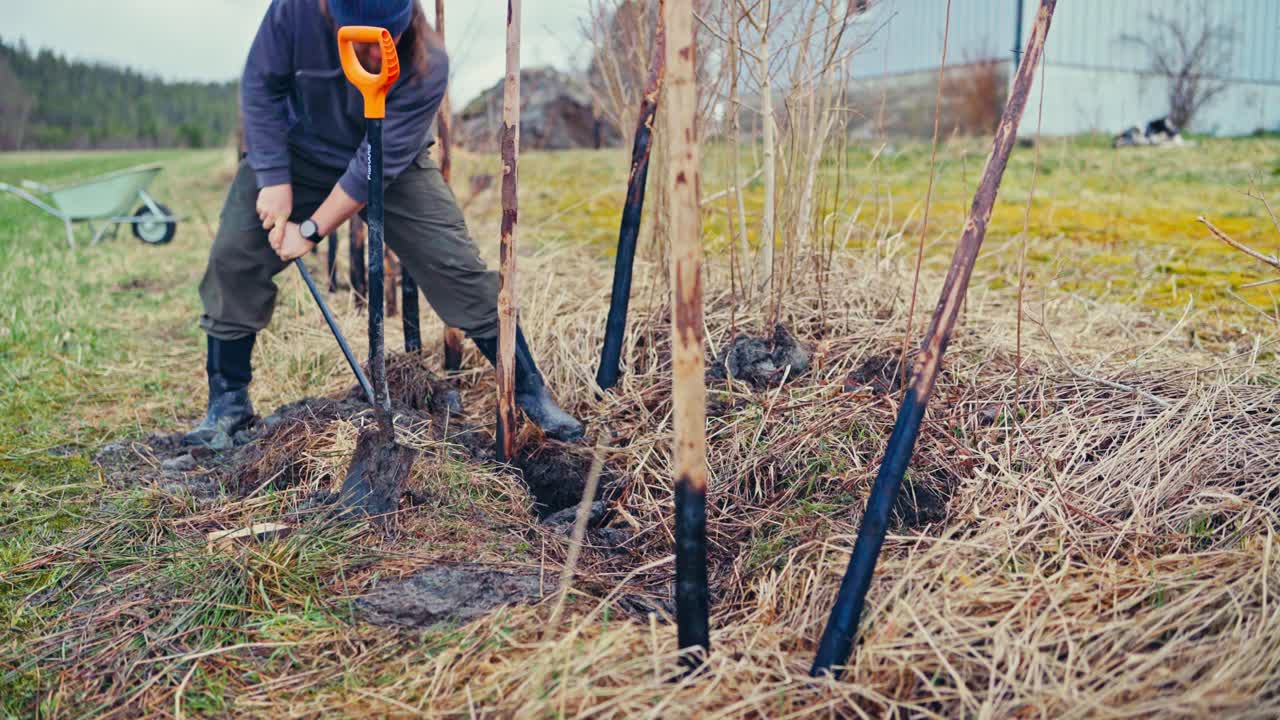Man Putting Charred Woods While Constructing Skigard In Norway