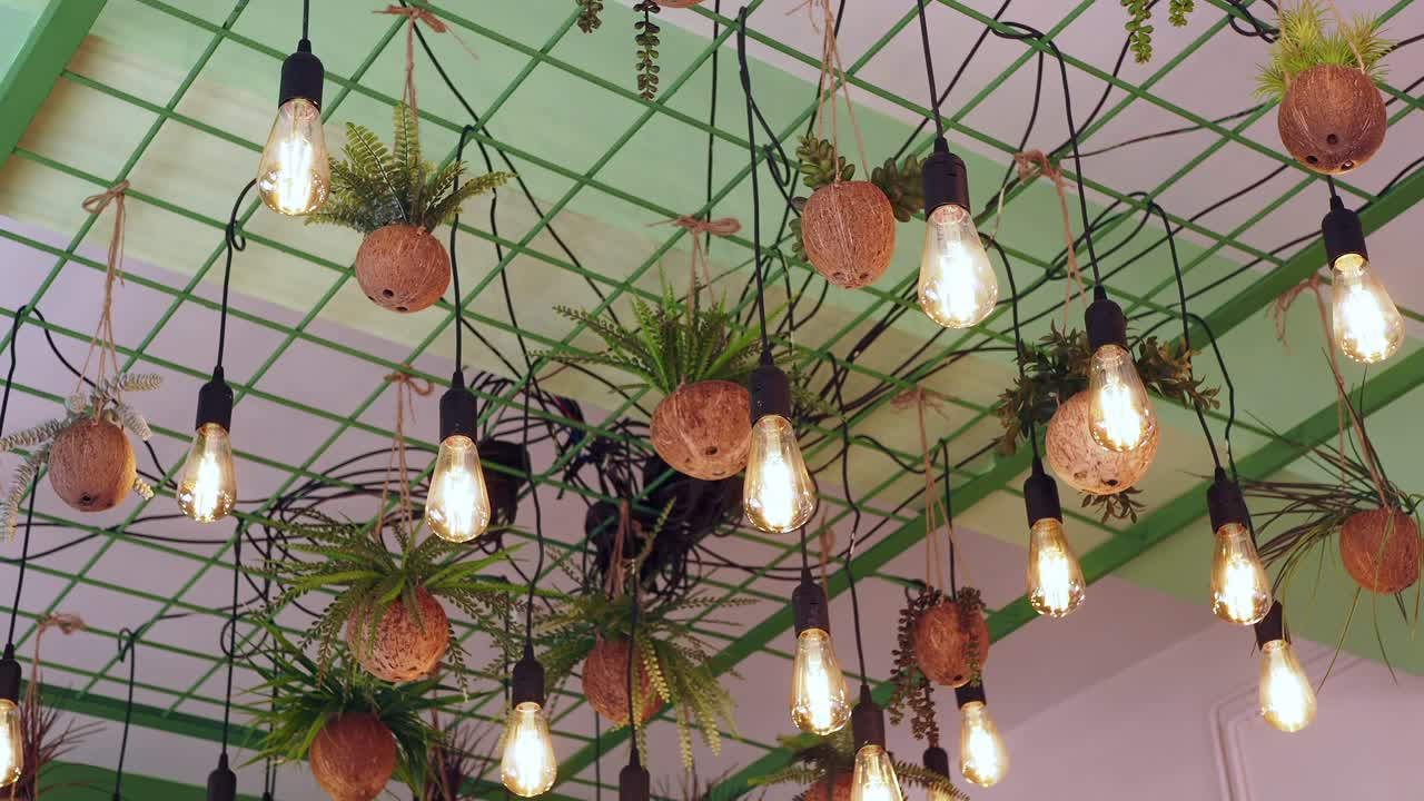 Creative Hanging Lights with Plants