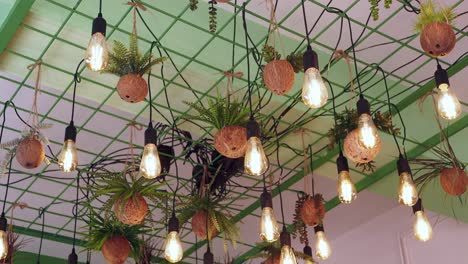 creative hanging lights with plants