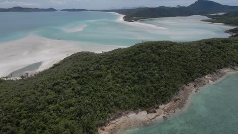 Frondoso-Bosque-En-El-Parque-Nacional-De-Las-Islas-Whitsunday---Playa-Whitehaven-En-Qld,-Australia