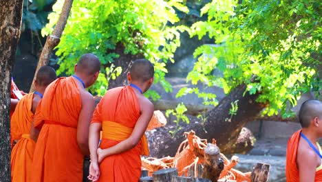 young monks in orange robes walking together