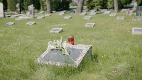 tombstone with a white flower and a grave candle in a graveyard on a sunny day 3