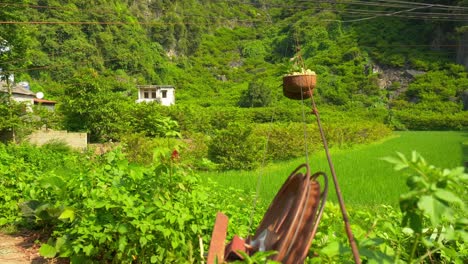 hand-held shot of a freshly picked basket of custard apples coming down the wheel propelled zipline in the mountains at the chi lang district, lang son province, vietnam