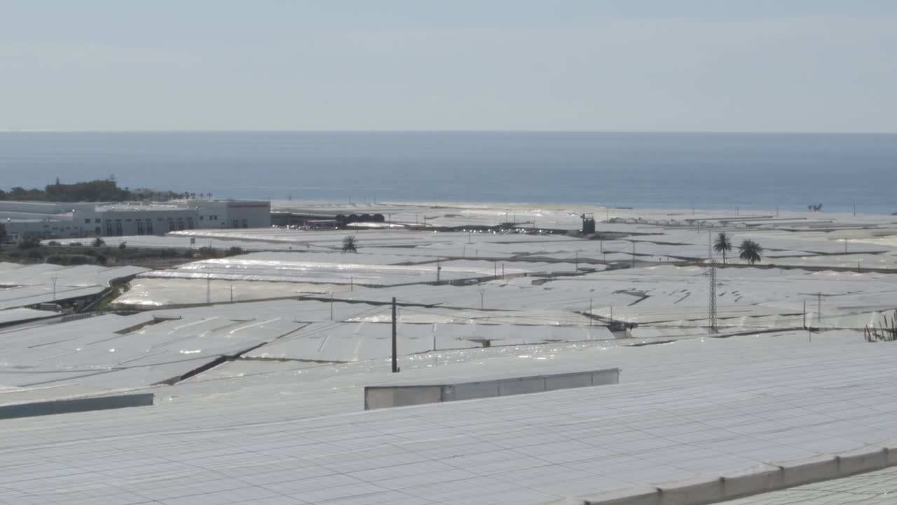 invernadero agrícola un día soleado, carchuna, españa