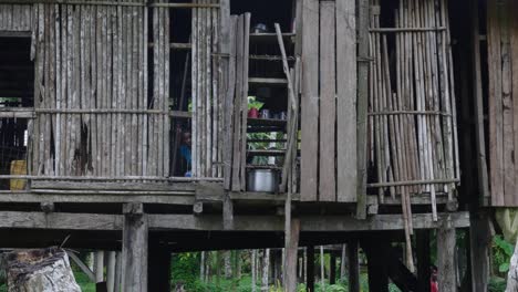 rural stilt house