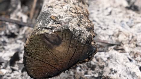 Tilting-Upward-slowly-showing-ash-and-smoke