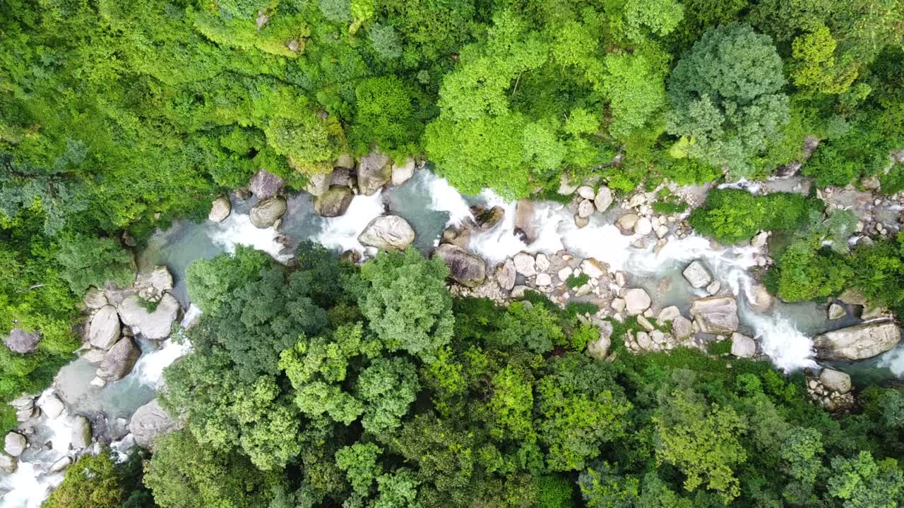vista aérea de 4k de un río que fluye a través de un bosque