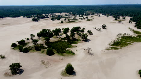 Jib-down-of-beautiful-green-oasis-in-middle-of-sand-dunes