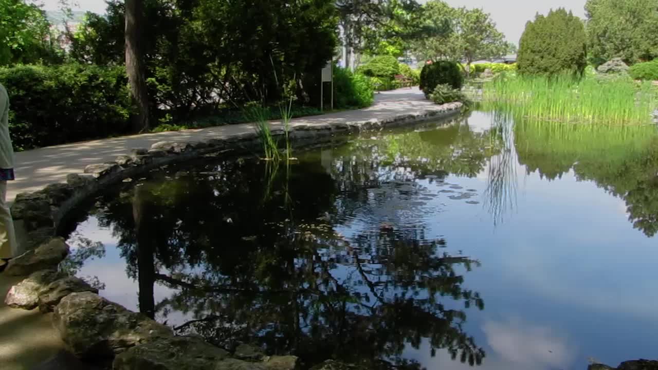 Scenic Pond Landscape with Reflection and Lush Greenery