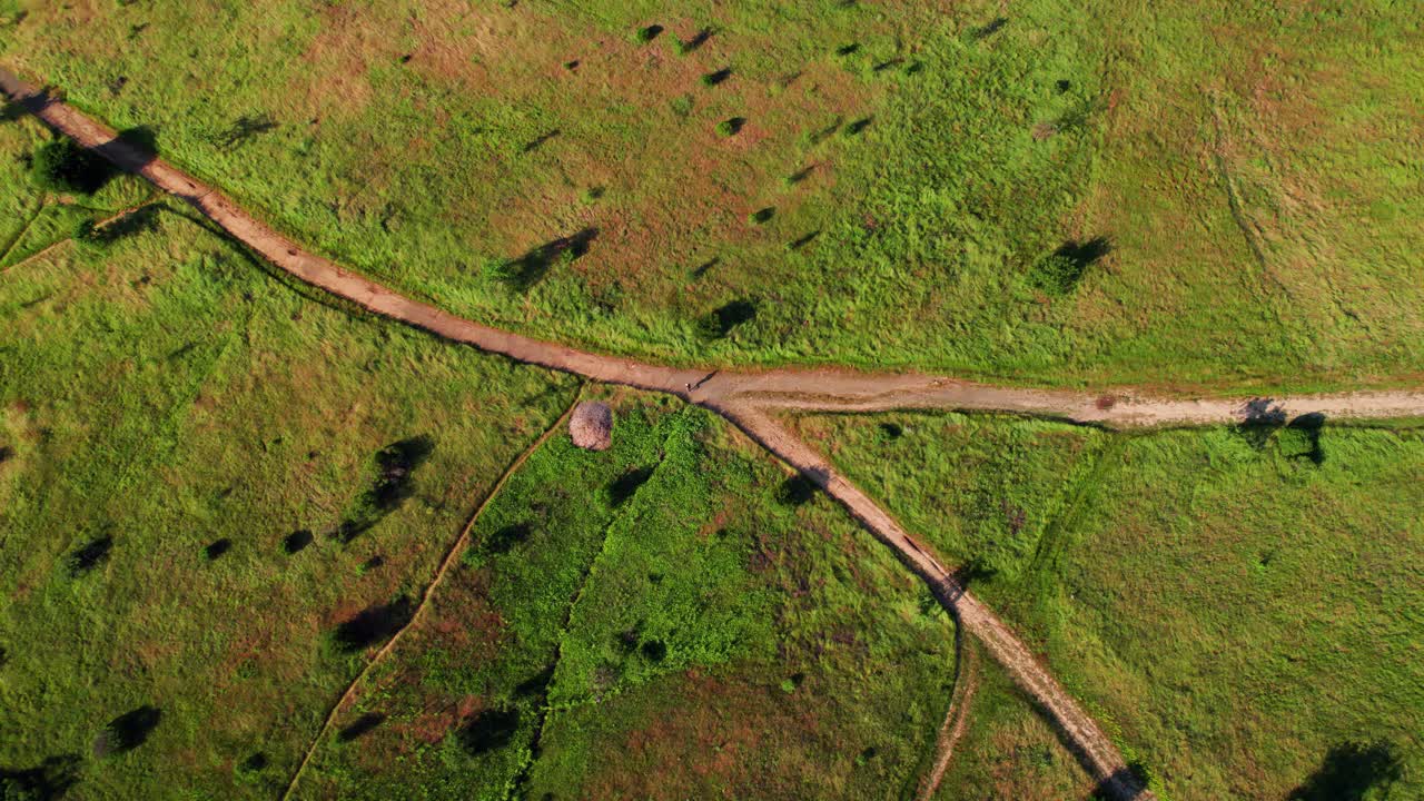 Napa Valley, California. Aerial bird's-eye view of a vibrant green hiking trail with a person running along the forked path during sunrise.