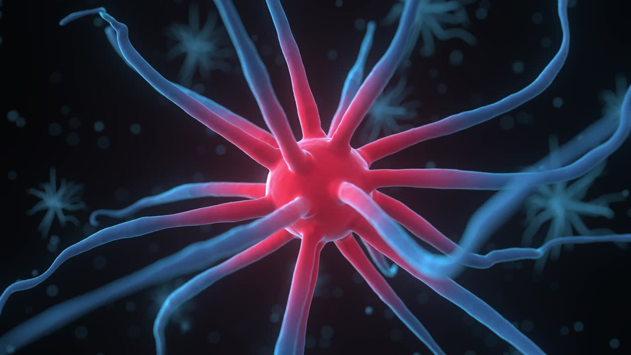 partícula abstracta