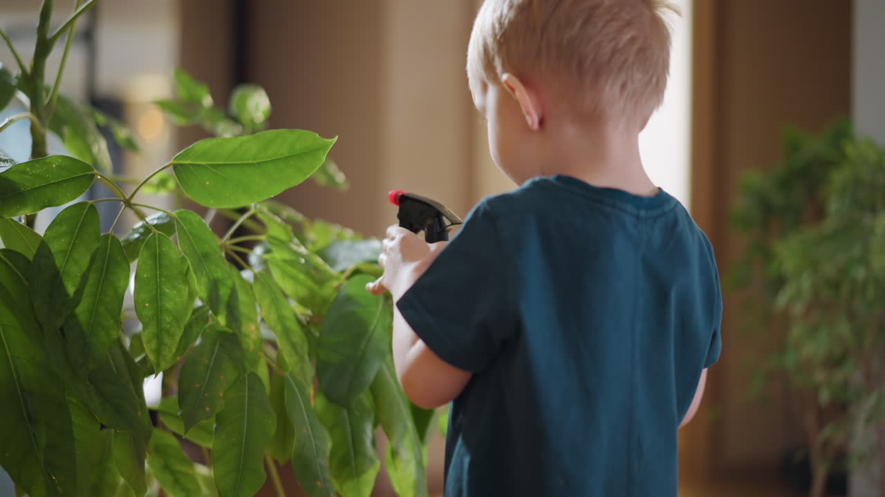 Young boy using spray bottle to water green indoor plant leaves, focusing with curiosity and responsibility, learning gardening skills, connecting with nature, developing care habits in cozy home environment