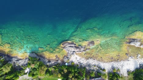 Aerial-top-down-view-of-lake-water-and-forest-line-in-Canada