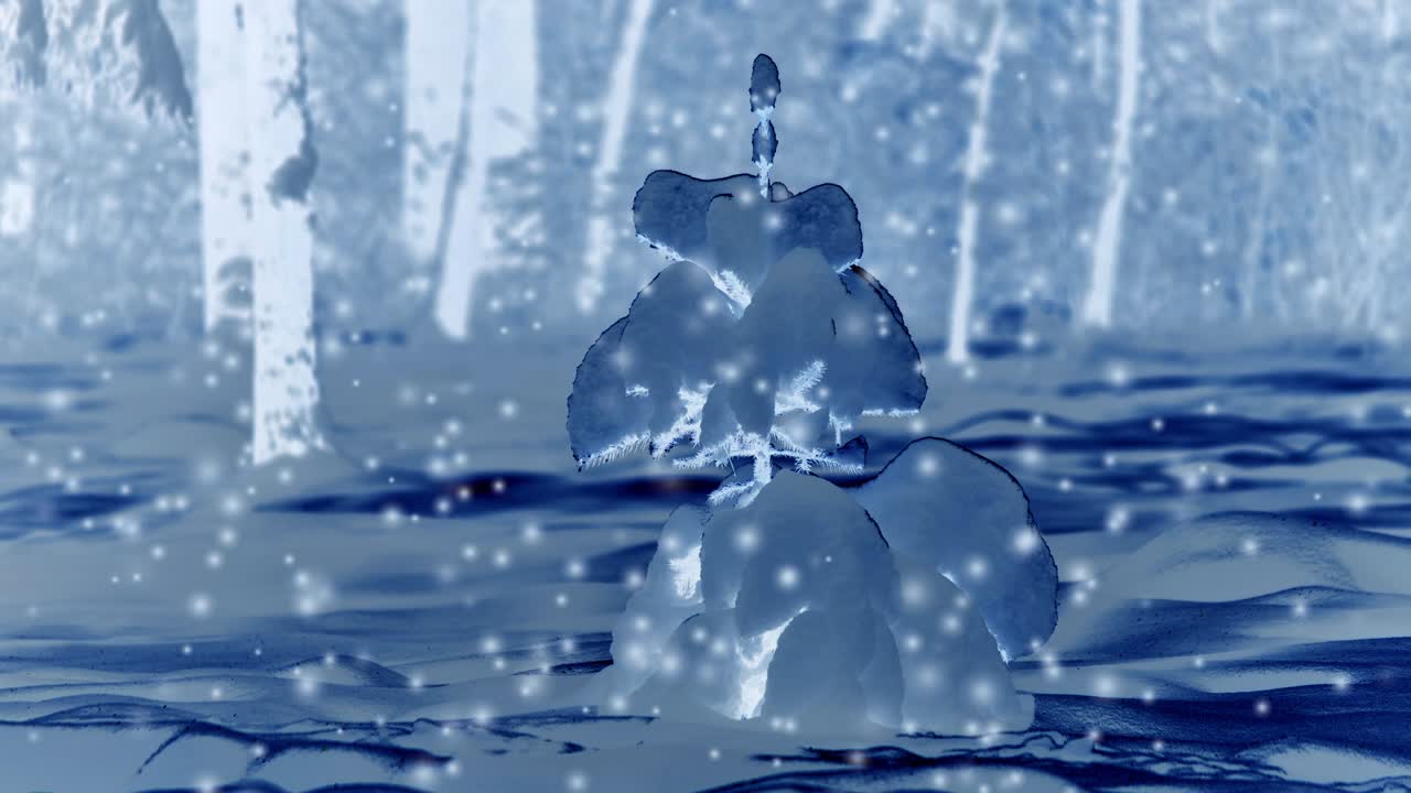 겨울에 밤에 눈에 인 숲의 나무들.