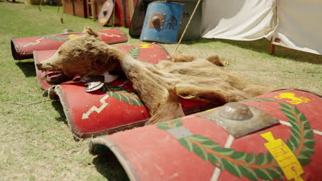 a slow dolly shot moves along a line of roman legionary shields (scuta) at a reenactment camp. a bear pelt, part of a standard bearer's uniform, is draped across them