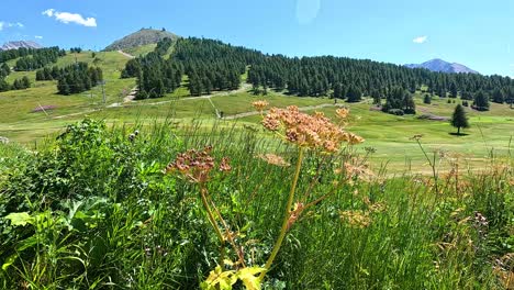 paisaje panorámico en el piamonte, italia
