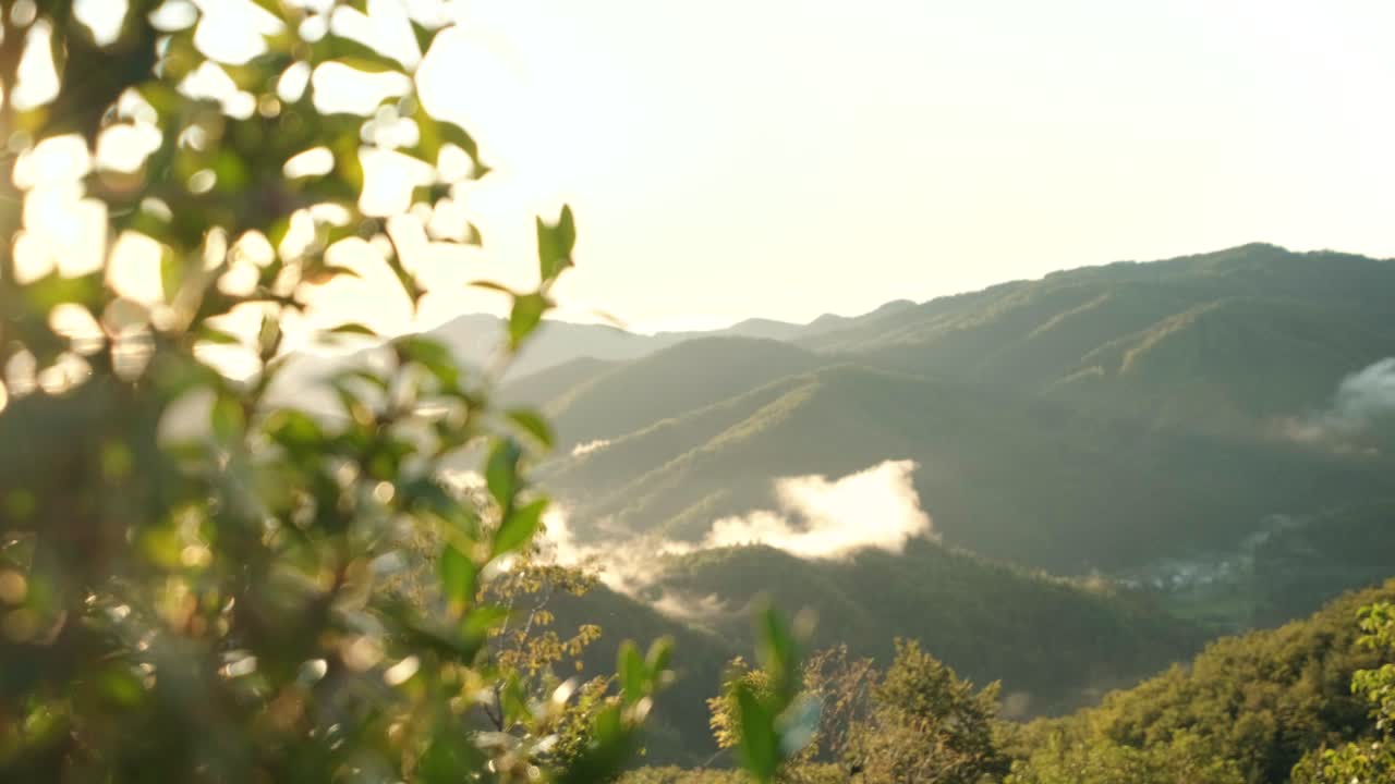 Slow-motion footage of nature in Slovenia with golden light and low lying fog in the valley