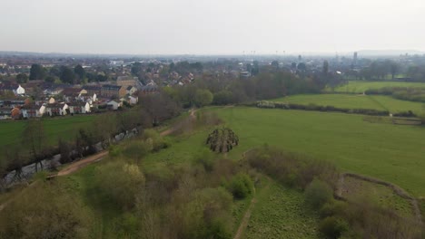 4K-willow-cathedral-live-sculpture-made-of-willow-trees-in-Taunton-Somerset,-60fps-drone-moving-forward-over-the-tree-cathedral-with-the-taunton-town-in-the-background-