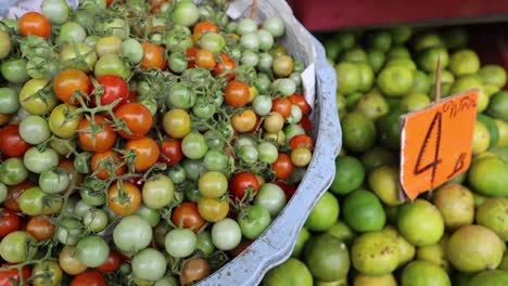 various stages of ripening tomatoes on display