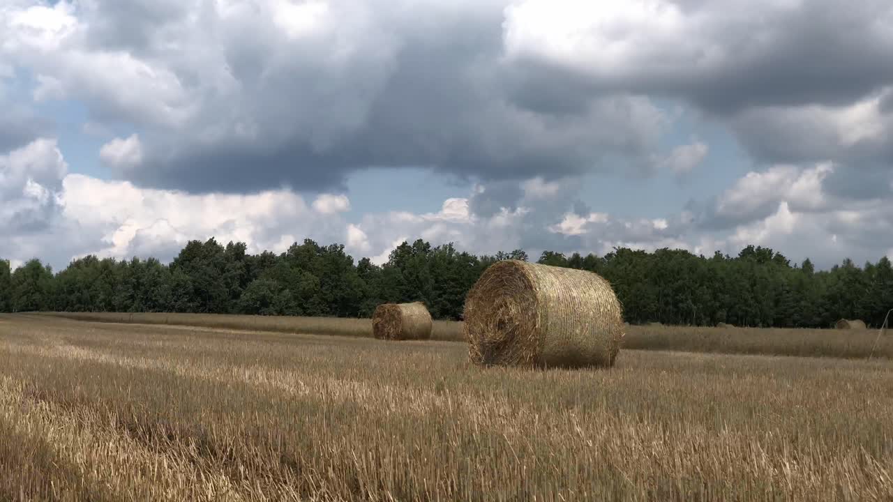 Breathe in the tranquility of straw bales set amidst nature's canvas