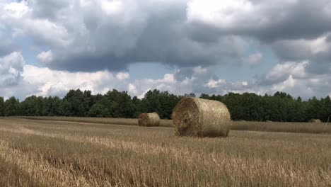 Atmen-Sie-Die-Ruhe-Der-Strohballen-Inmitten-Der-Natur-Ein