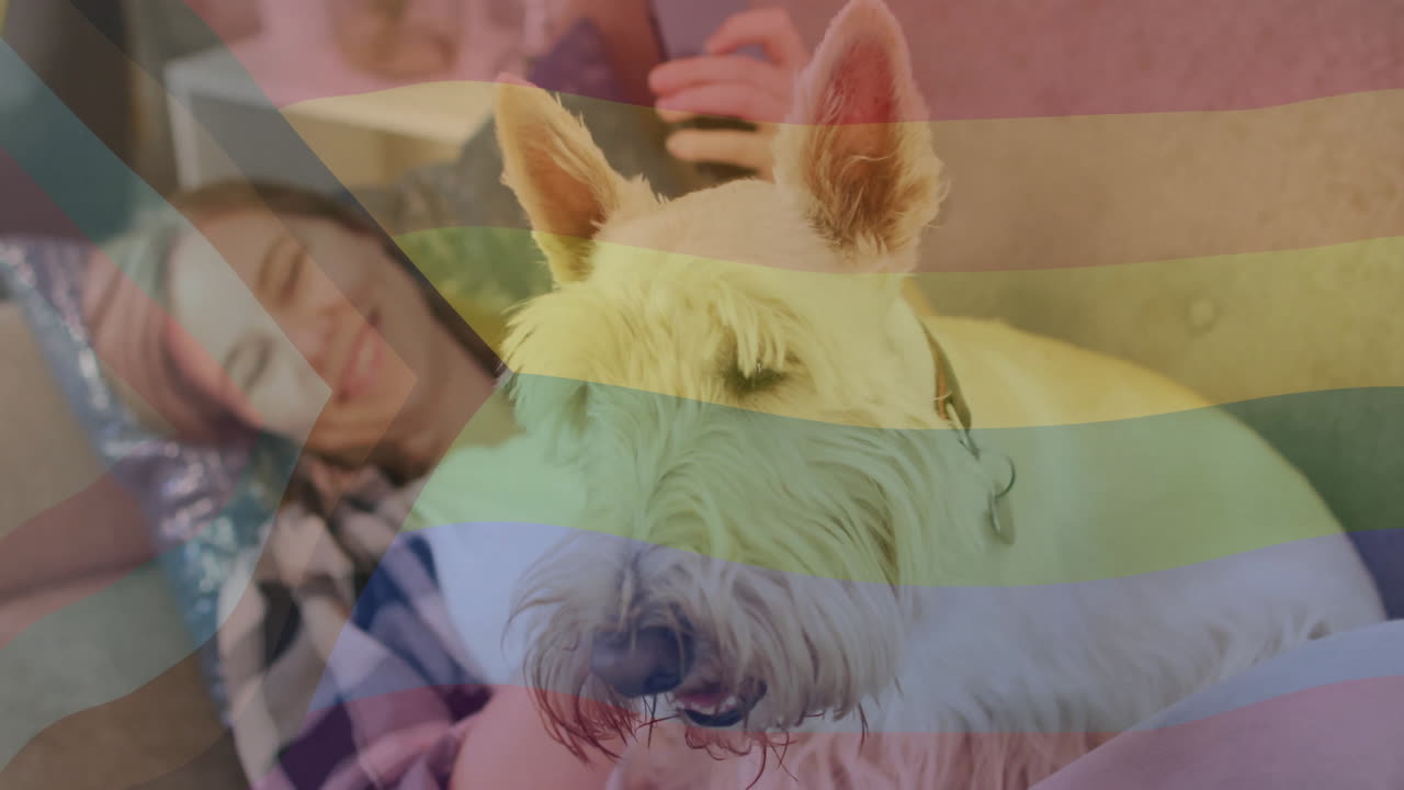 스마트폰과 애완동물 개와 함께 휴식을 취하는 행복한 백인 여성에 대한 자부심의 무지개 발의 애니메이션