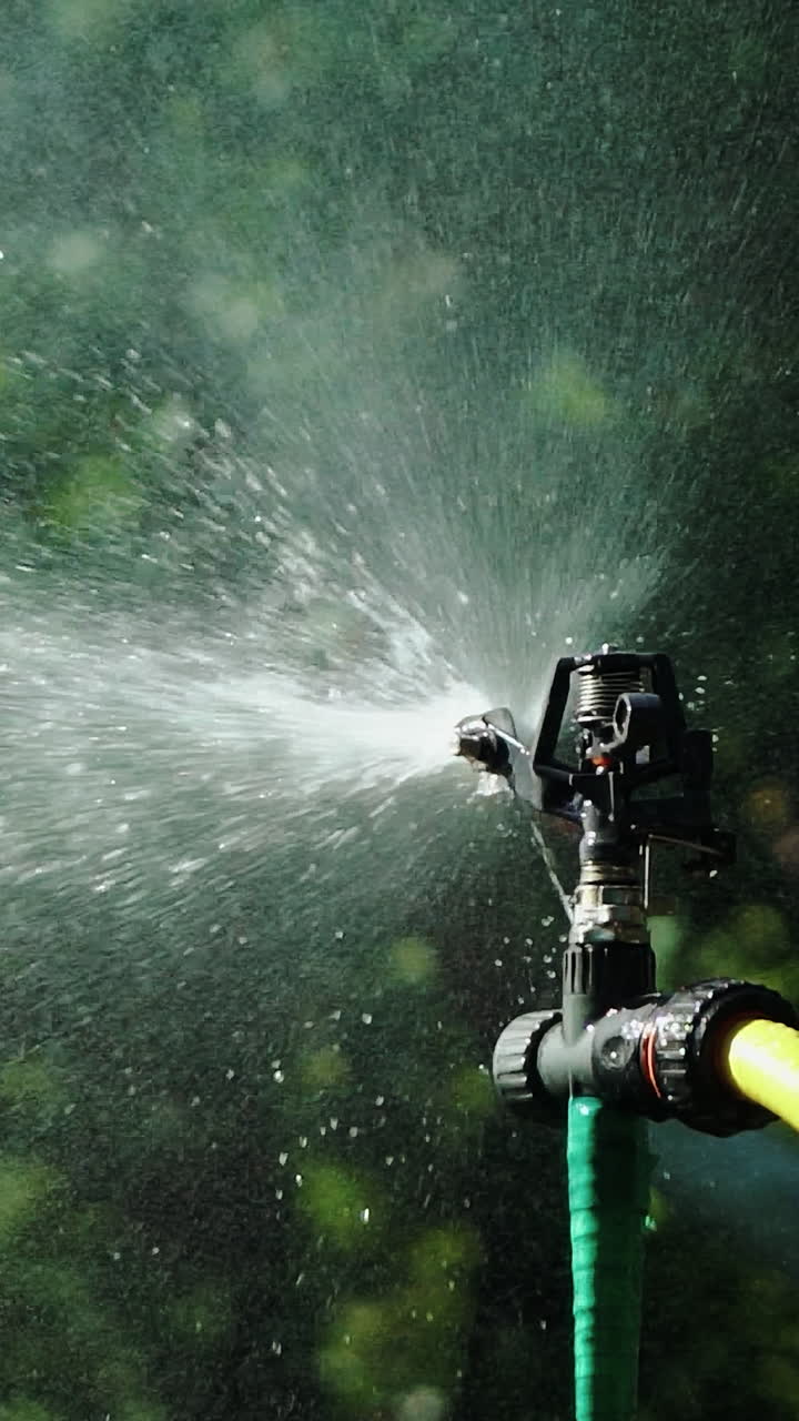 Automatic sprinkler system watering the lawn. Smart garden activated with fully automatic sprinkler irrigation system. Vertical video