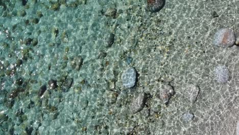 Crystal-Clear-Water-In-Lake-Tahoe