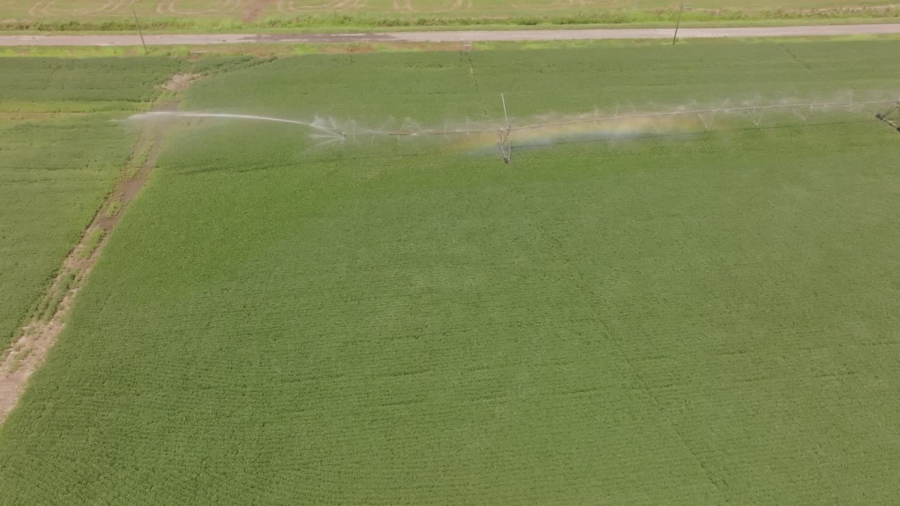 Aerial view of an irrigated field